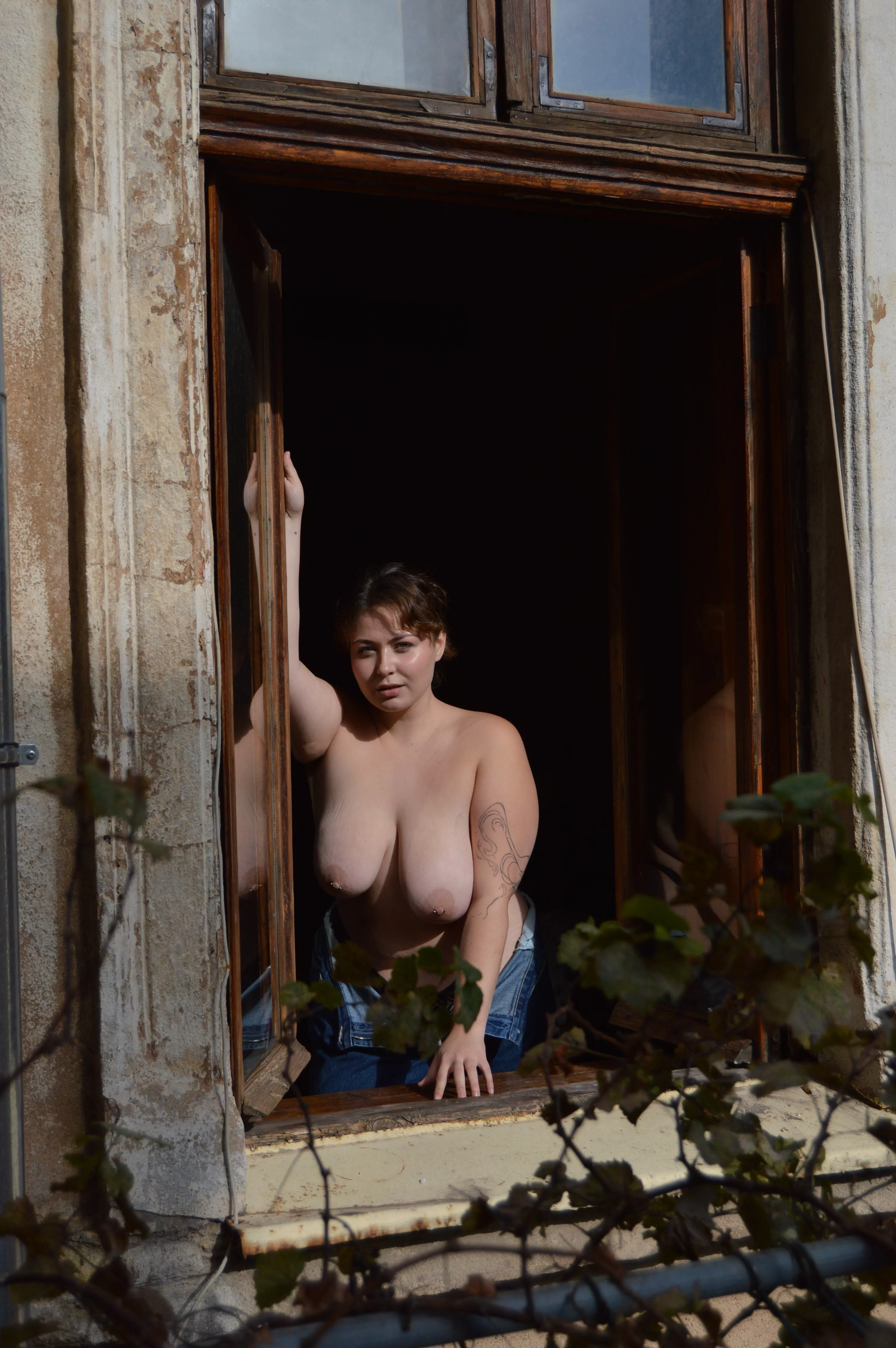 Beauty is art and art should be shared with neighbors posted by alkylicprice68