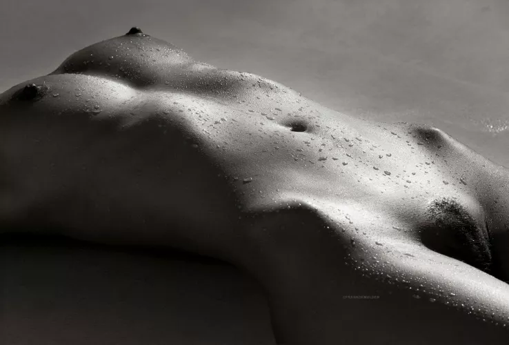 Body and Soul, by Frank De Mulder by Gothmoggie