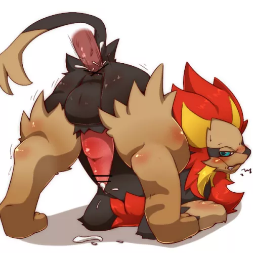 Catch them all challenge 668 - Pyroar (okunawa) by Red_Gaymer