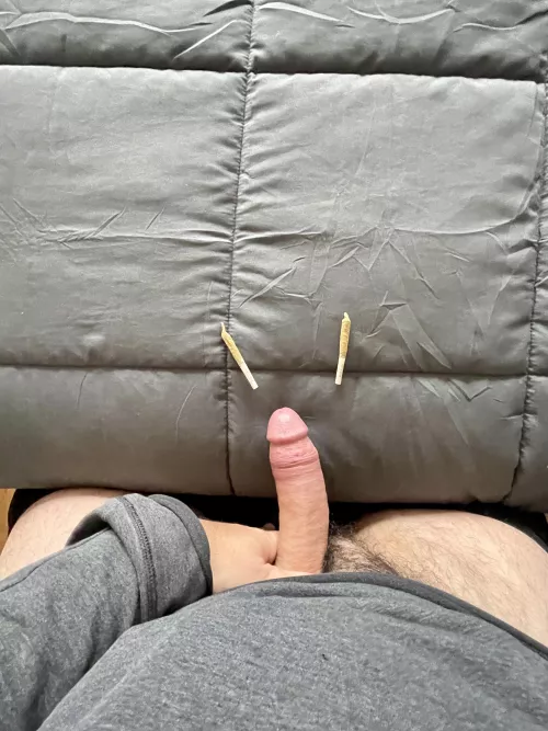 Come help me with one of these 1 gra(m) joints 😏 by Additional_Bear_5696