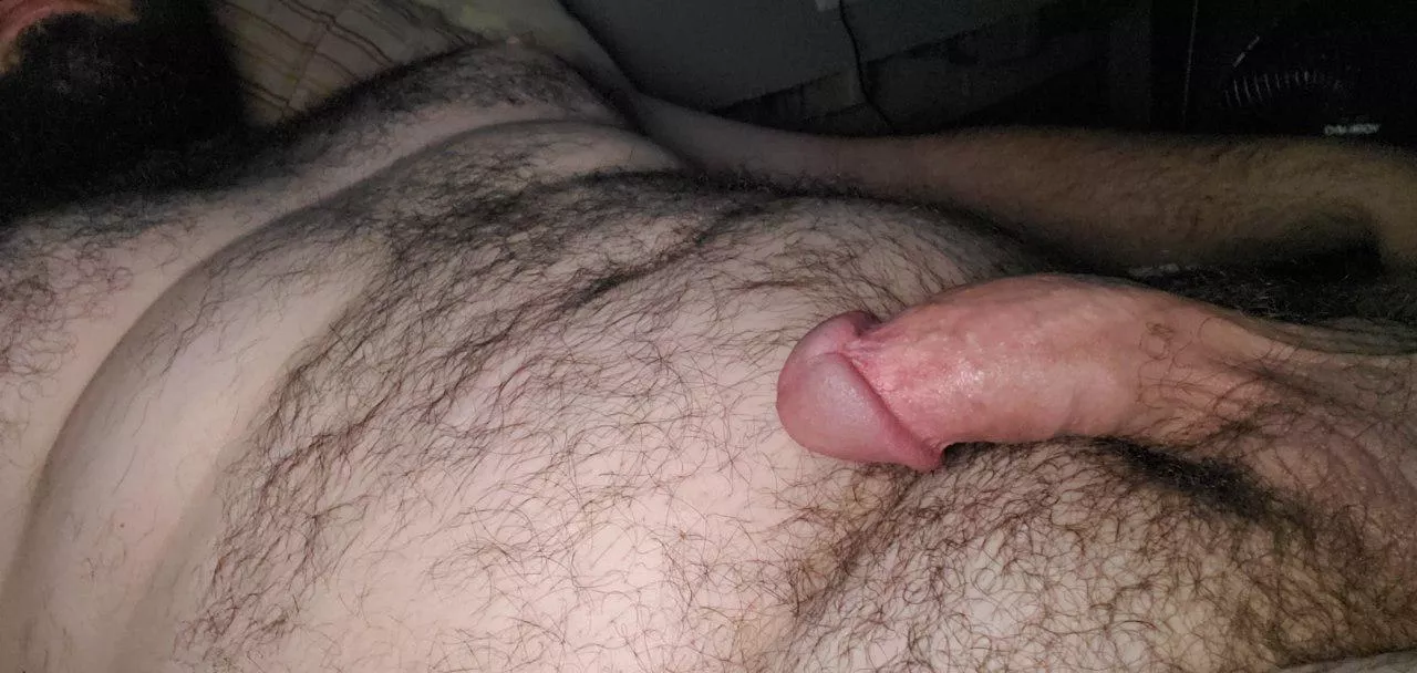 Could use a fellow bear right about now posted by wutaload7