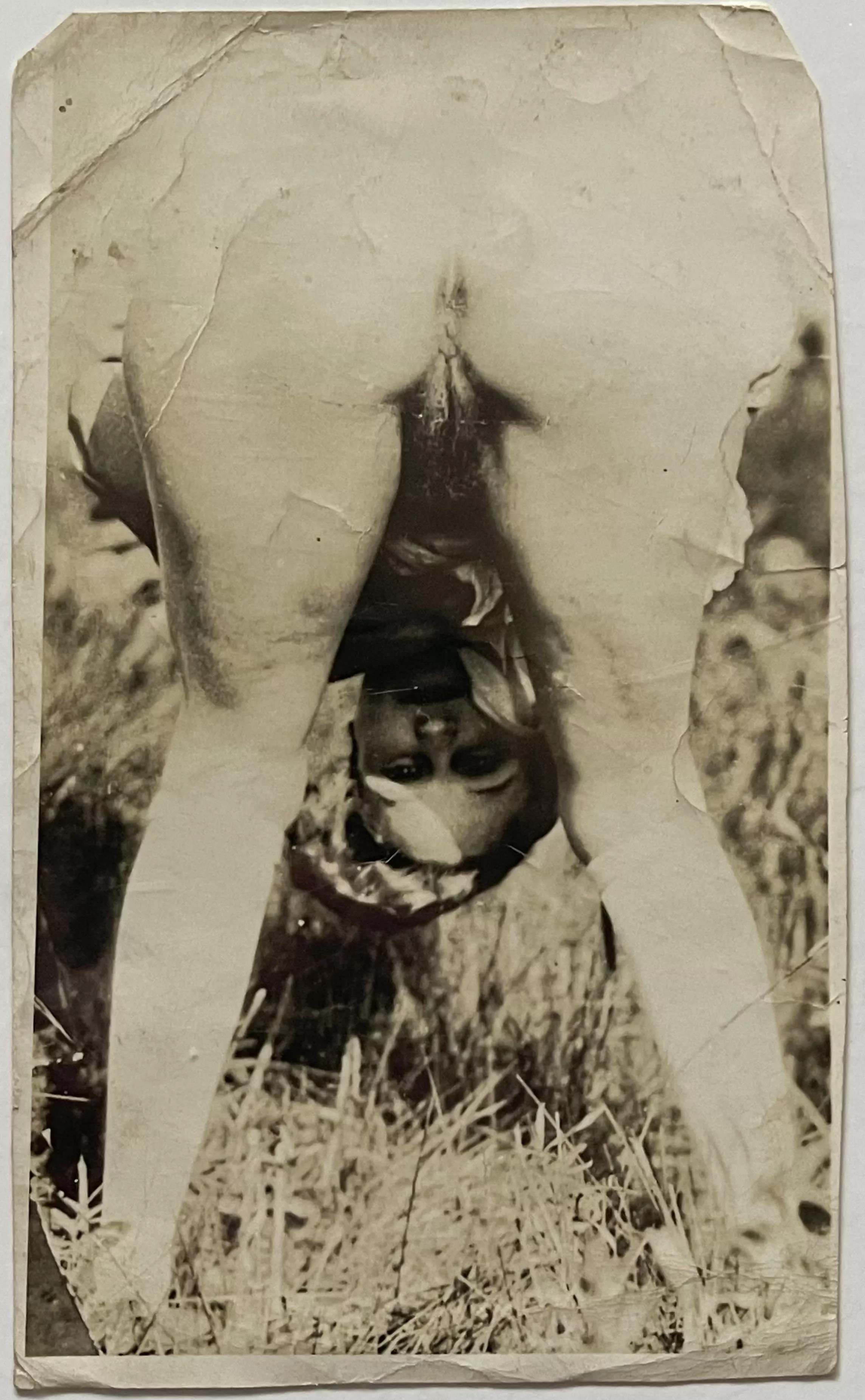 Gentlemen, can you recommend a lawn care method? I was not pleased with the sheep - although they did a fine job of keeping the verge trimmed, their deposits attracted flies most egregiously. I then attempt the use of a dedicated gardener; however this s posted by Plethorian