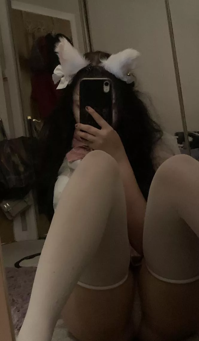 good kitty (18f) posted by Jasmine_Mark