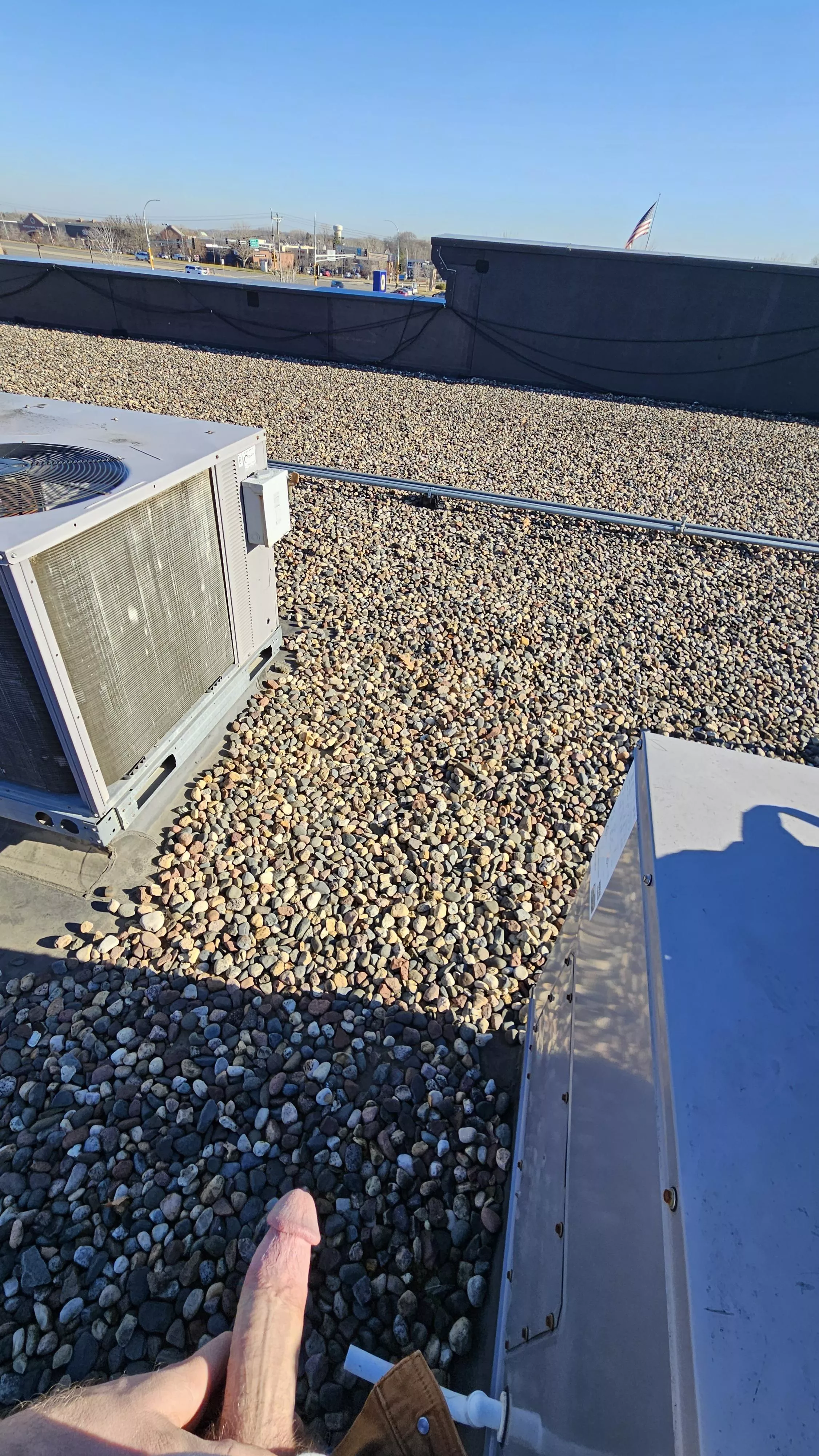 Hanging out on a roof posted by fittosit