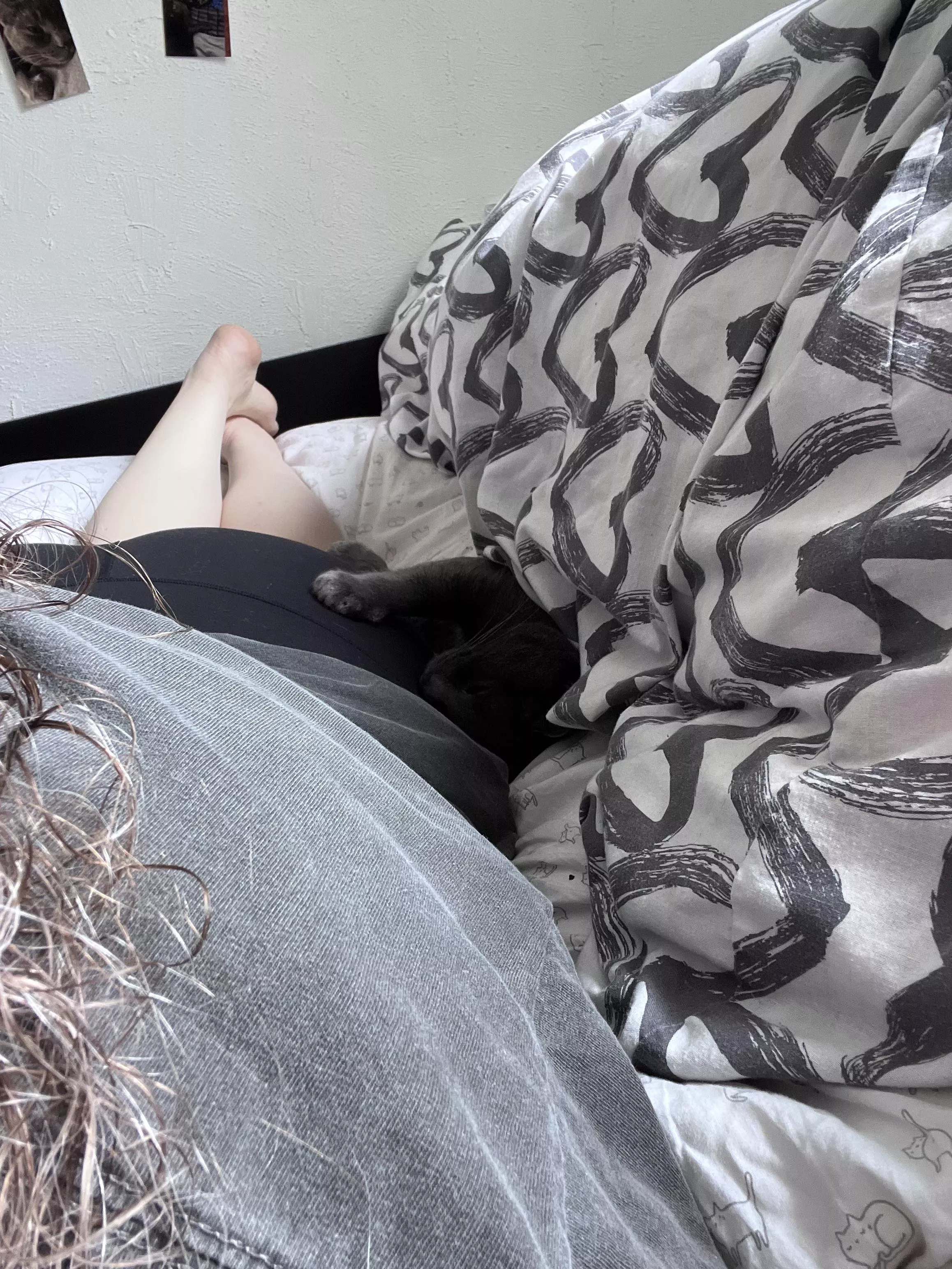 He knows what’s good guys posted by Delicious_Flow3461