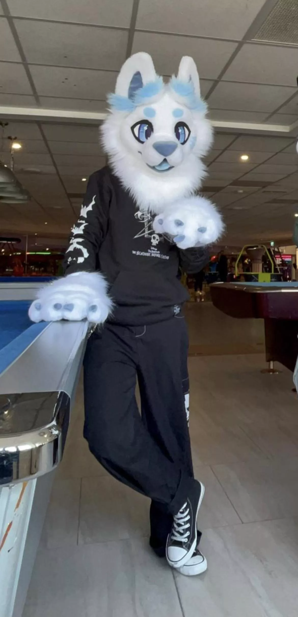 I joined the fandom this year and would love some friends!! Info about me below + my fursuit :p posted by Zephpaws