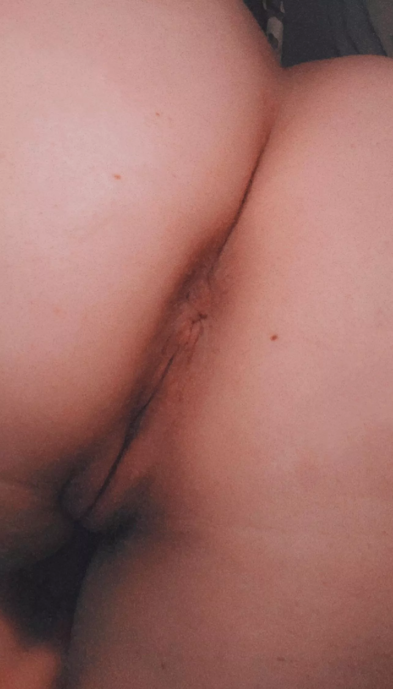 if I sit on your face, which hole are you licking first?! 💋 posted by -ScarletEvergreen-