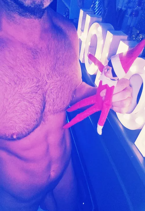 I'm tired of the Elf anyone want to play Milf on the Shelf with me ? by Particular_Camera913