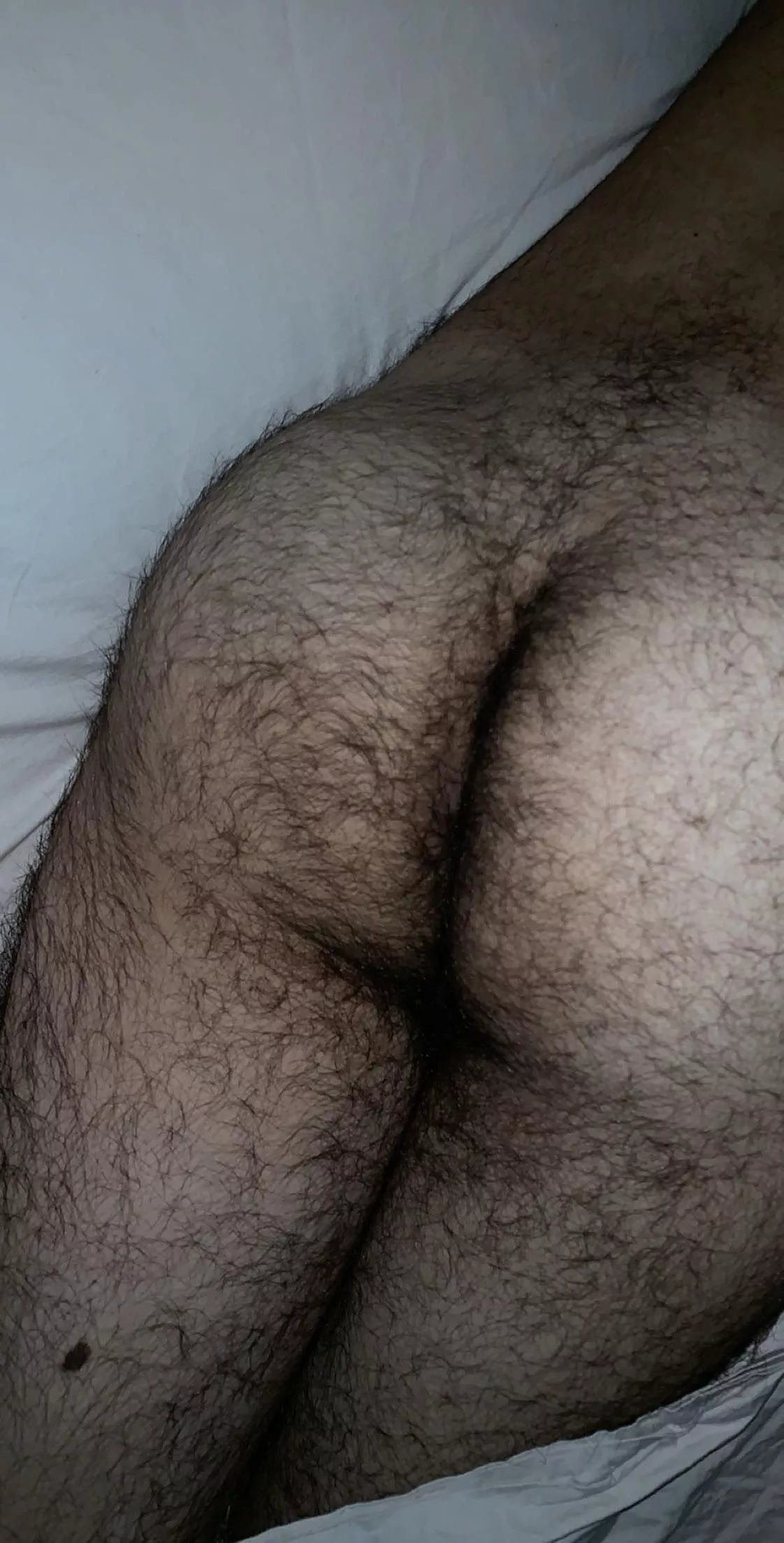 Is my ass hairy enough? posted by scruffygaynerd