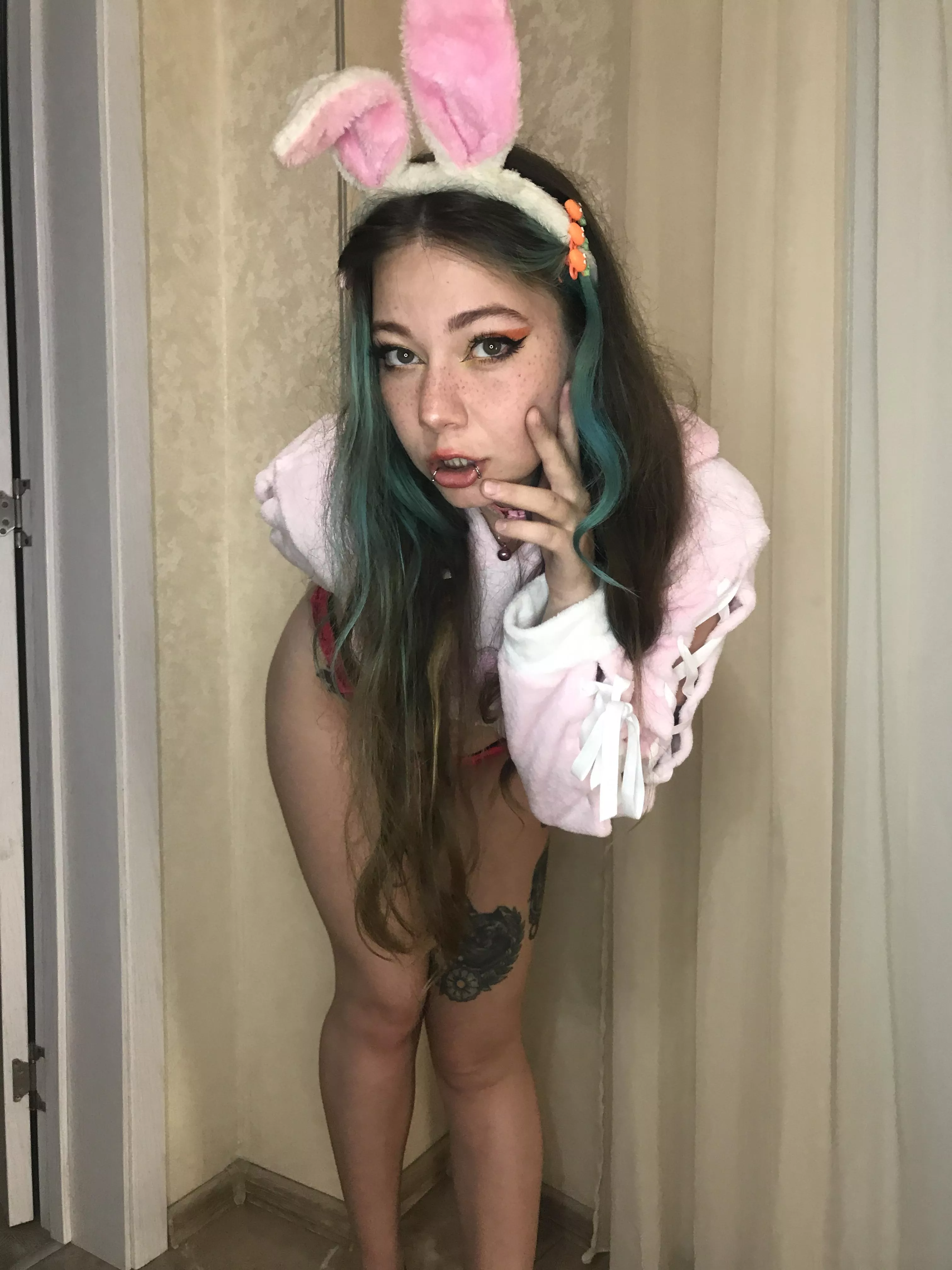 Little bunny looking for a sweet carrot posted by Sweet_Sansarella