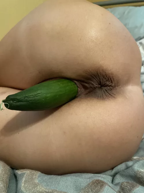 Lunch time by jay9682