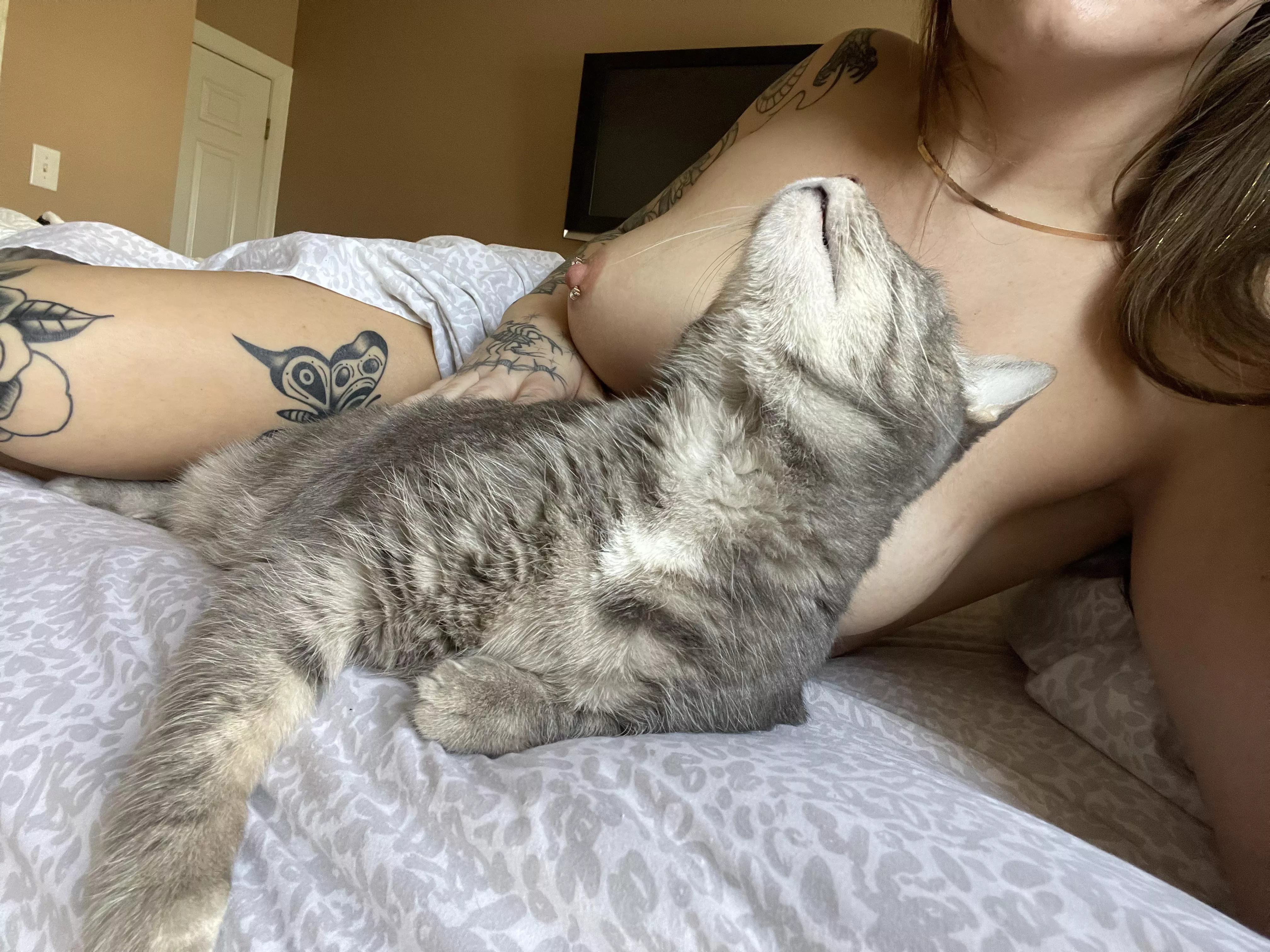 Morning snuggles 🥰 posted by h0t-wh33lzzz
