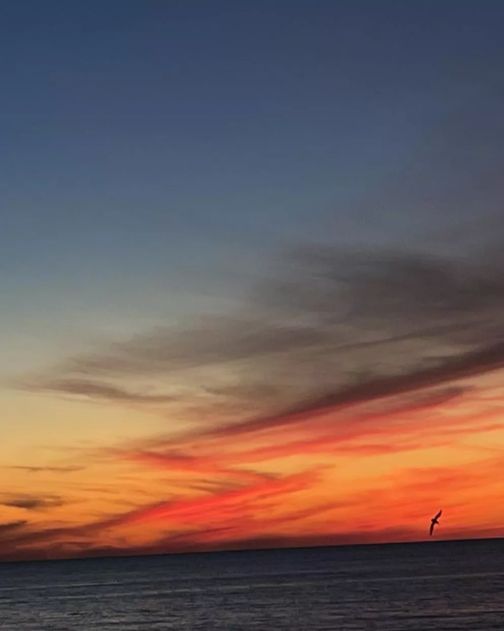 My backyard tonight. Never gets old. posted by pcbwes