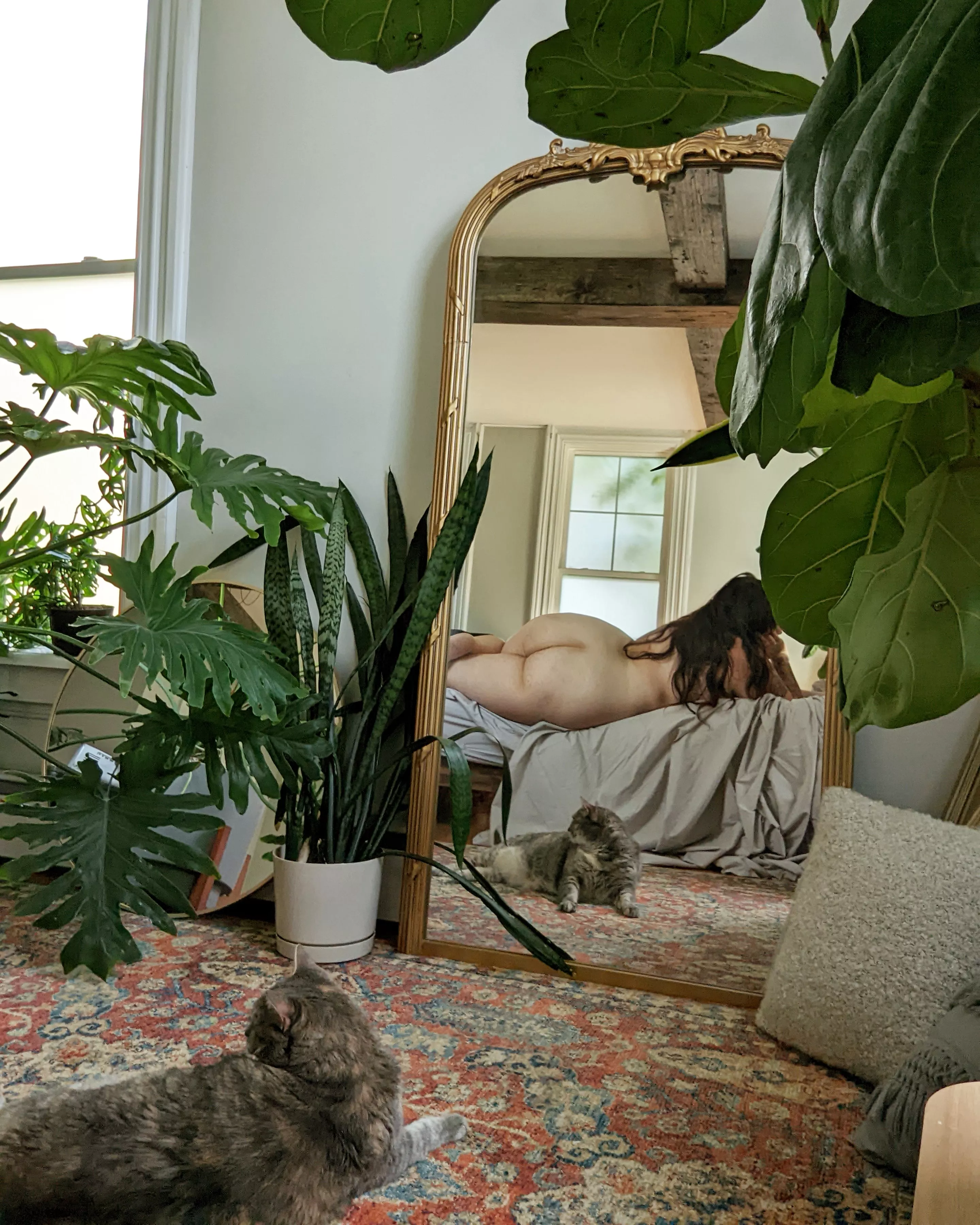 My favourite photo enhancer 😸 posted by LuellaArbre