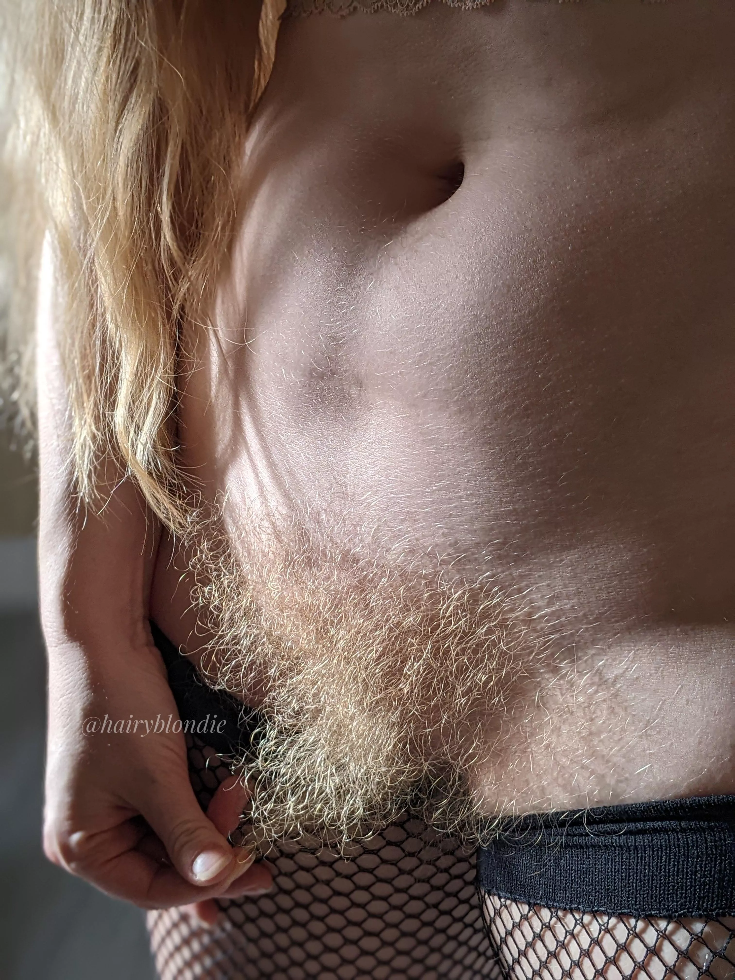 Natural blonde bush - the 8th wonder of the world posted by efiwfsn