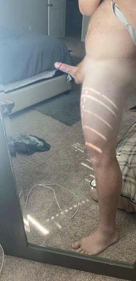 NC ginger posted by teppham