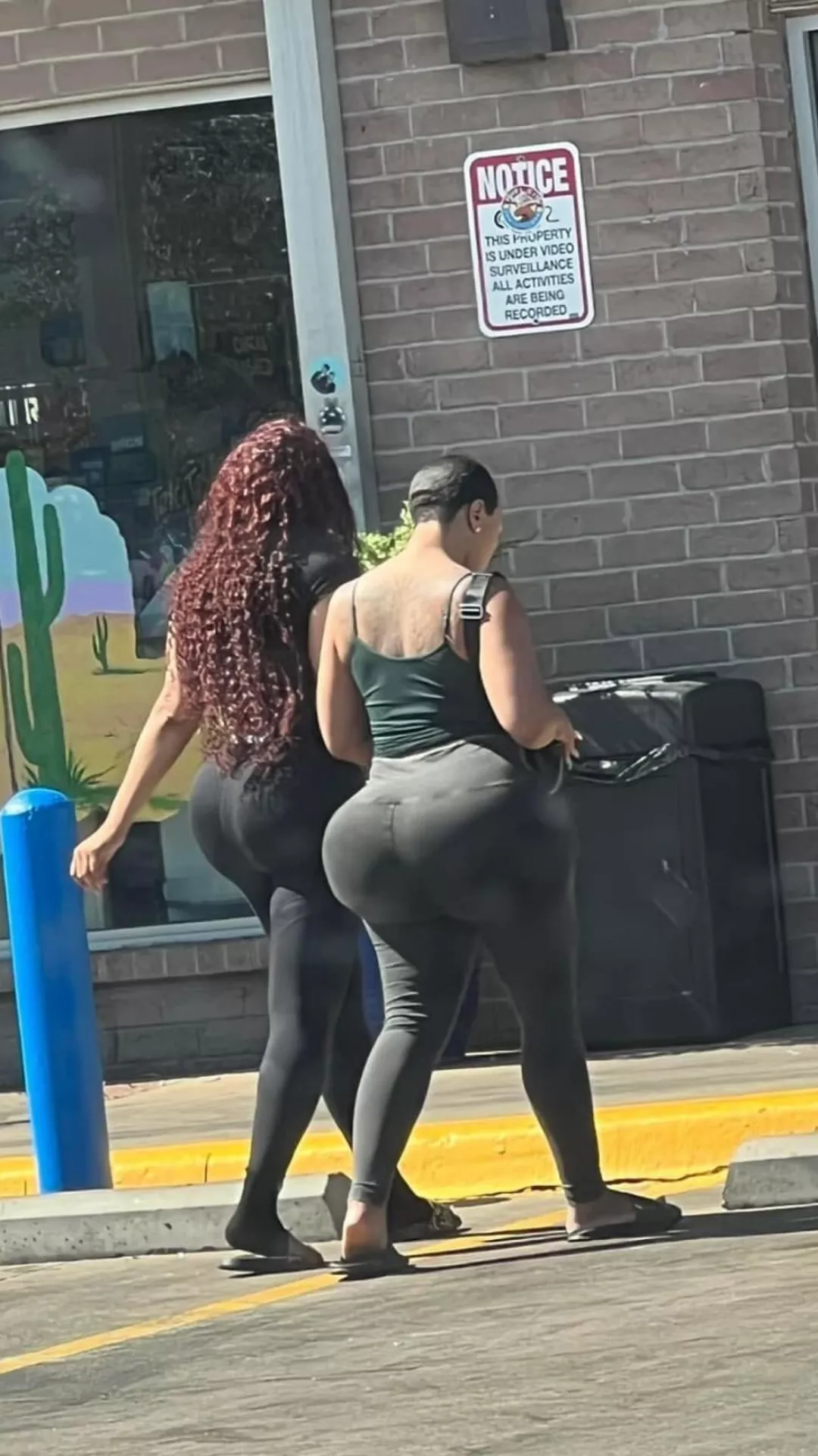 Out in the wild posted by eyepop9991