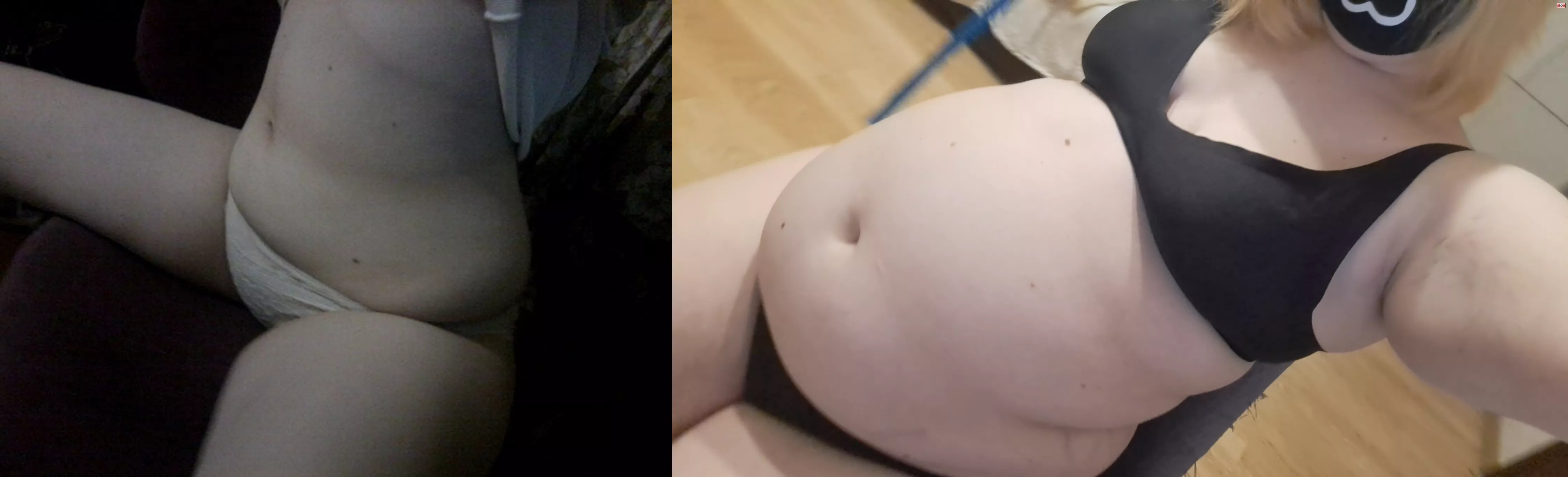 Pig. posted by Vyakich