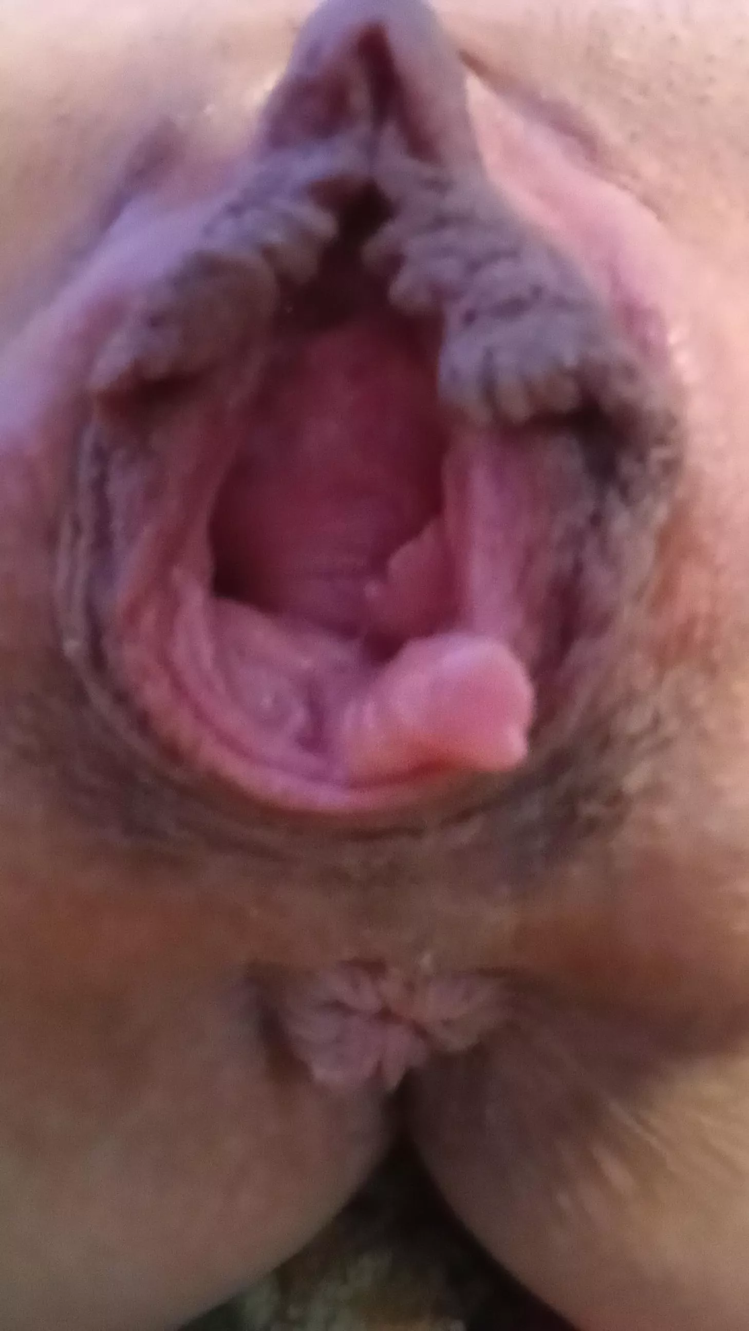 Resting gape ;) posted by PsychologicalSwim780