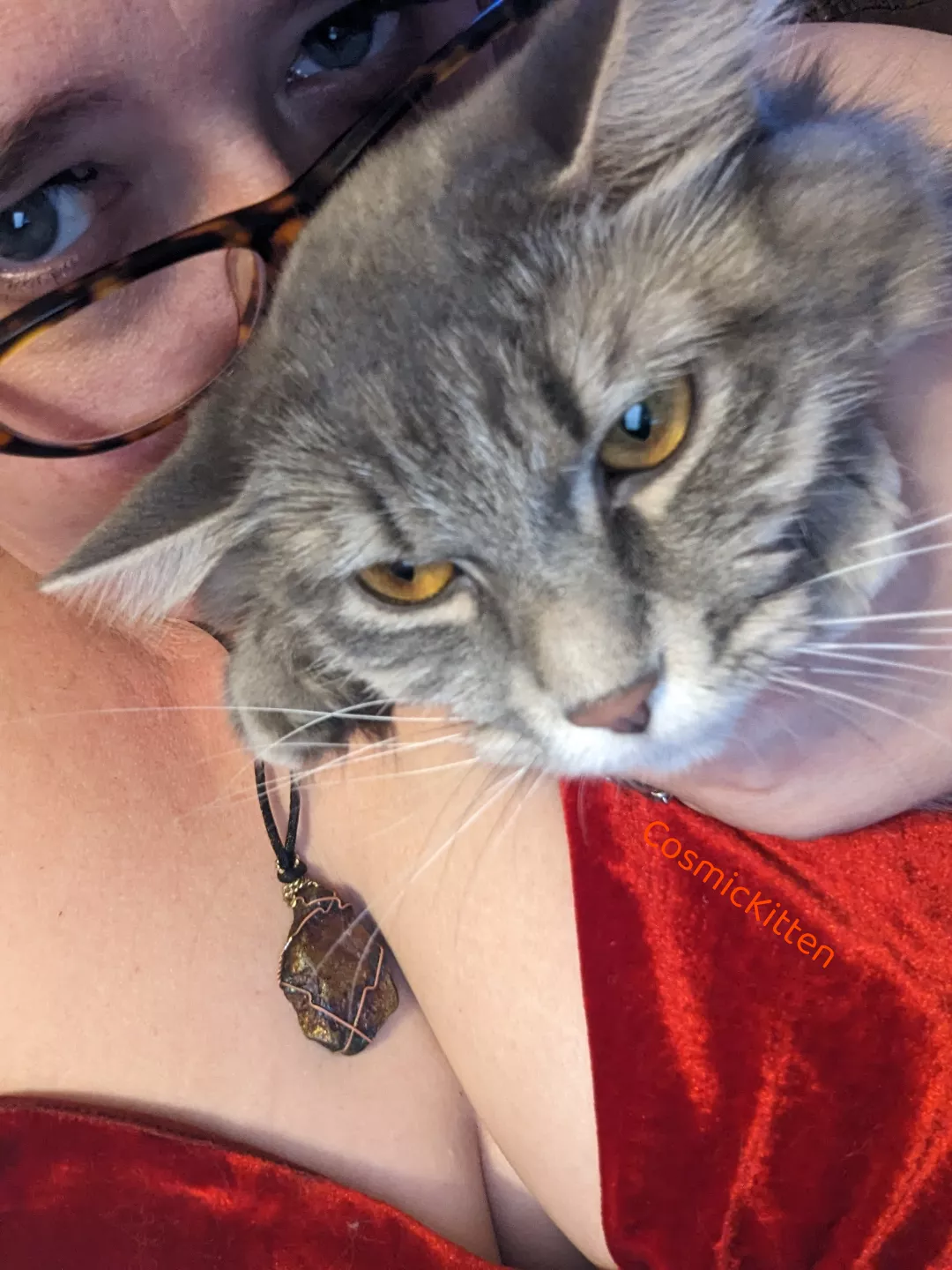 She wouldn't quit walking into my shots 😆 but I still luvs her sooooooo much!! posted by PetTheCosmicKitten