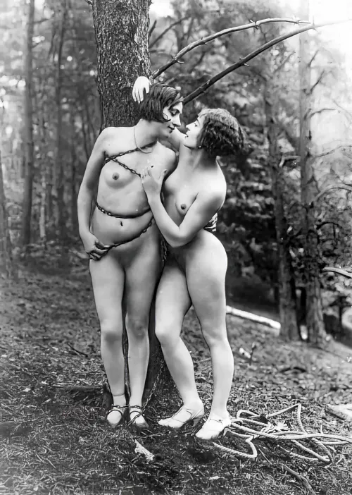 Sir, A distingushed member of this club recently complained of the state of his lawns. I fear he is not alone, why only yesterday I discovered two of the gardeners hopelessly attempting to prune a tree, I observed their efforts from the bushes. by Previous-Ganache-701