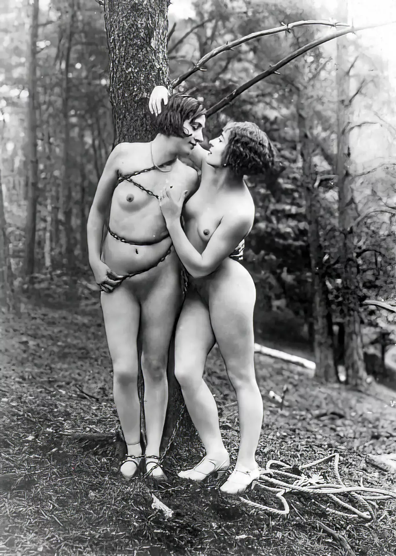 Sir, A distingushed member of this club recently complained of the state of his lawns. I fear he is not alone, why only yesterday I discovered two of the gardeners hopelessly attempting to prune a tree, I observed their efforts from the bushes. posted by Previous-Ganache-701