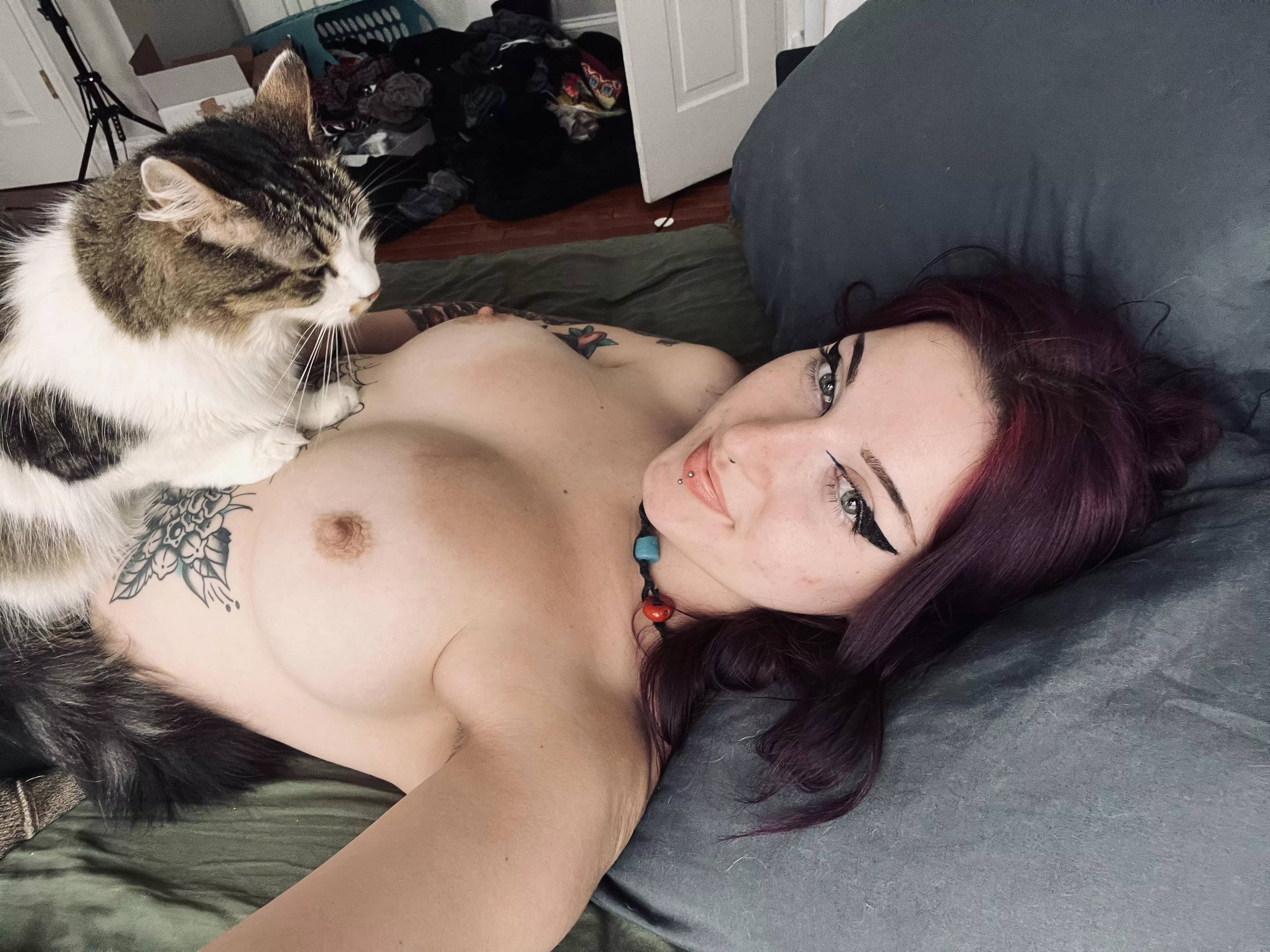 snugs are mandatory posted by quallenquinn