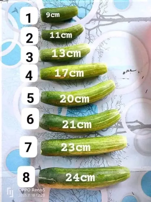 So where do yours fit my Gs, I'm between 6 and 7 by WobyFucksSnowbunnies