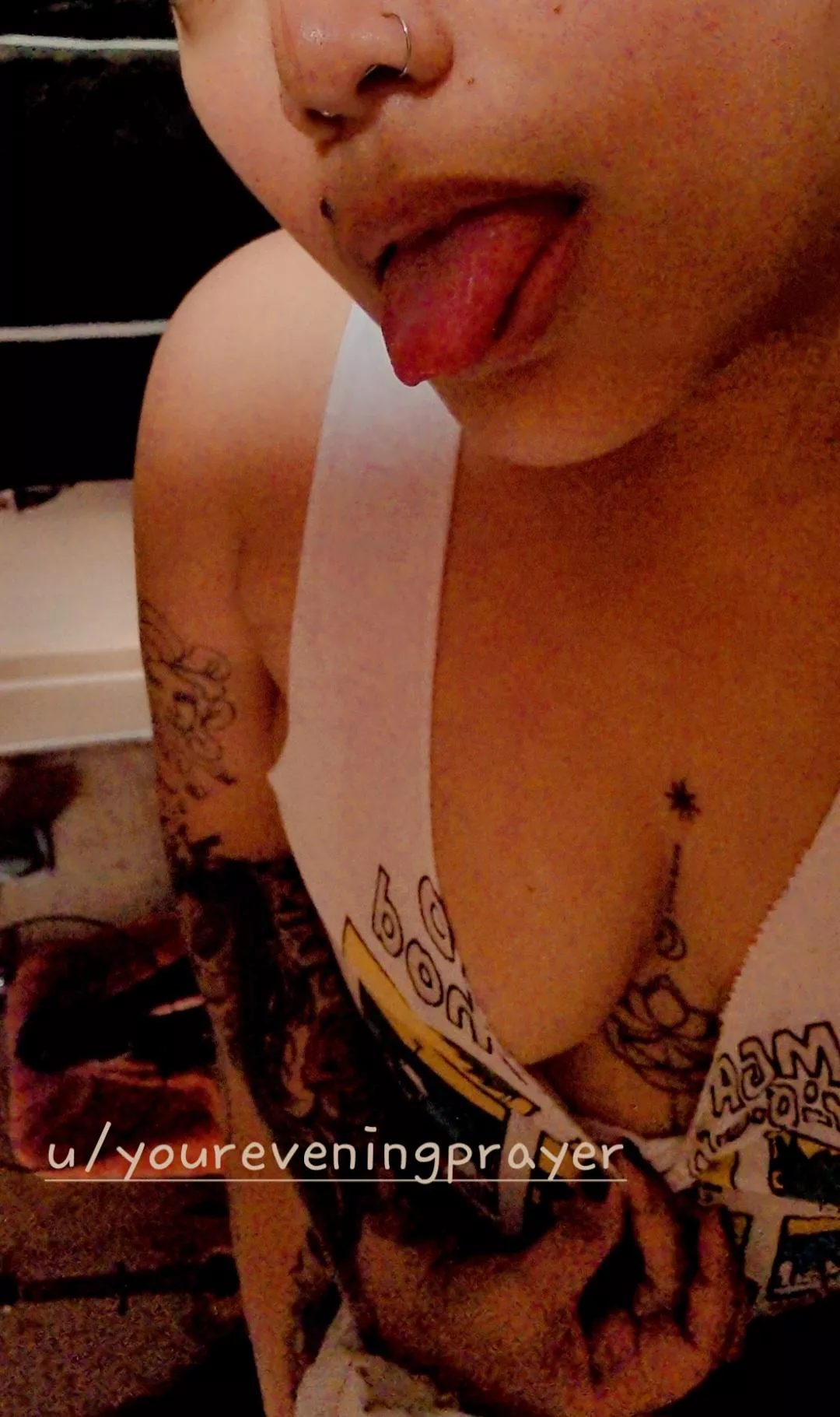 Something mild this morning (f) posted by YourEveningPrayer