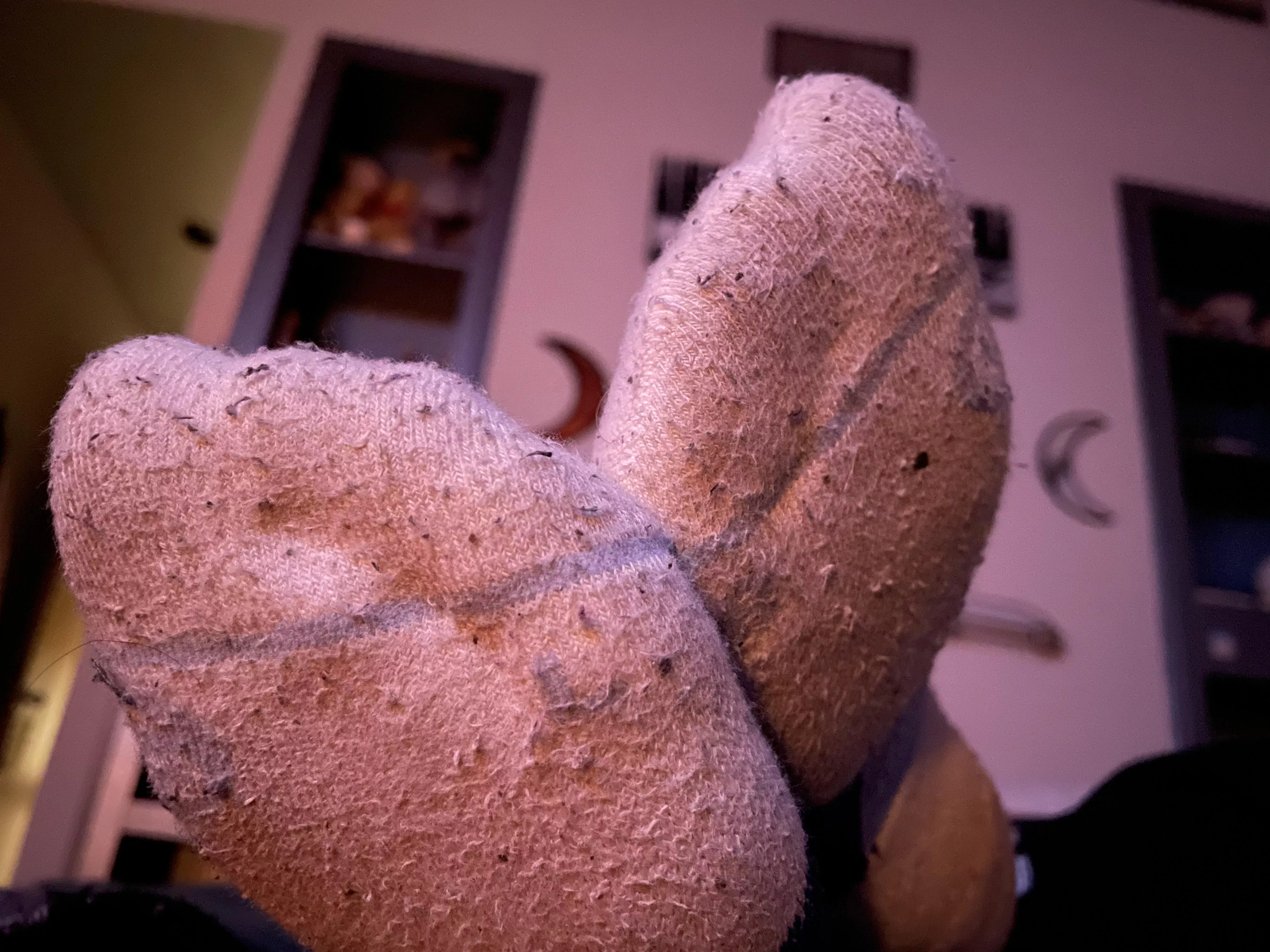 Sweaty & Sweet :) posted by JennysPerfectPaws