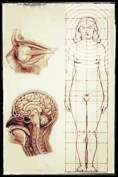 The Body Took Over posted by AwaitingMaster