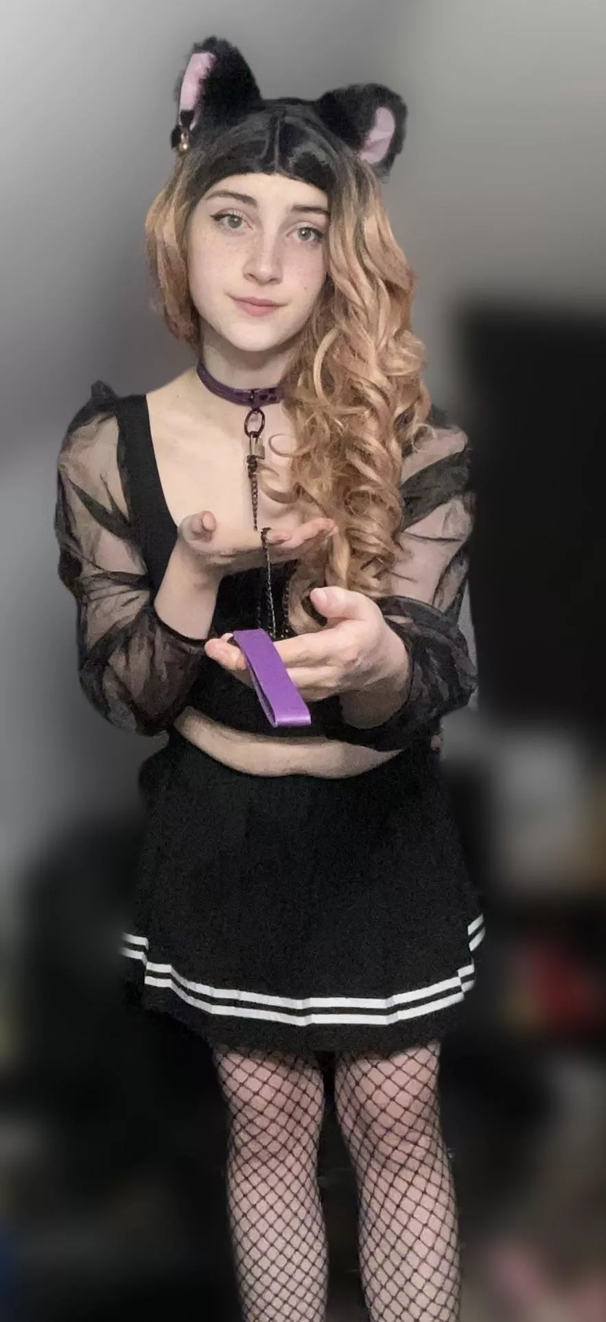 Time for walks? 😸🔐 posted by EmilyFurUK