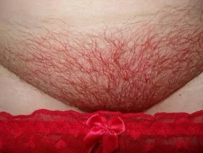 Tis the season for red by emgeenz