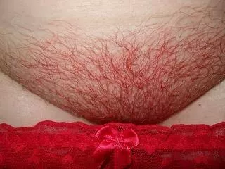 Tis the season for red posted by emgeenz