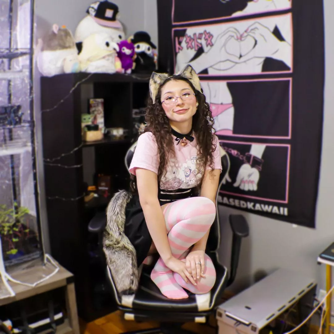 Wanna go for a walk, I do! posted by ItWhiskar