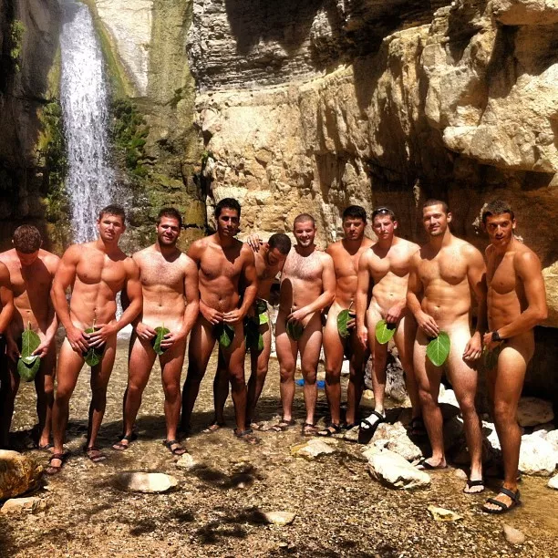 Waterfall fig leaves posted by Primal_Mantis