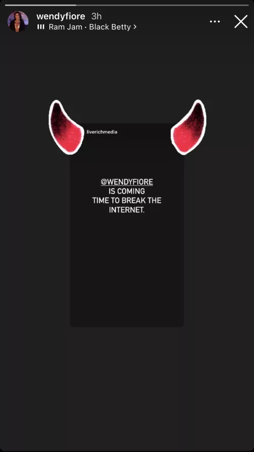 Wendy plans on breaking the internet. What do you all think she means by that? From IG stories by SnooHedgehogs8893