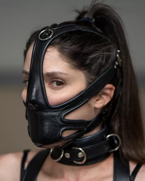 Where can I buy this? by pbondage11