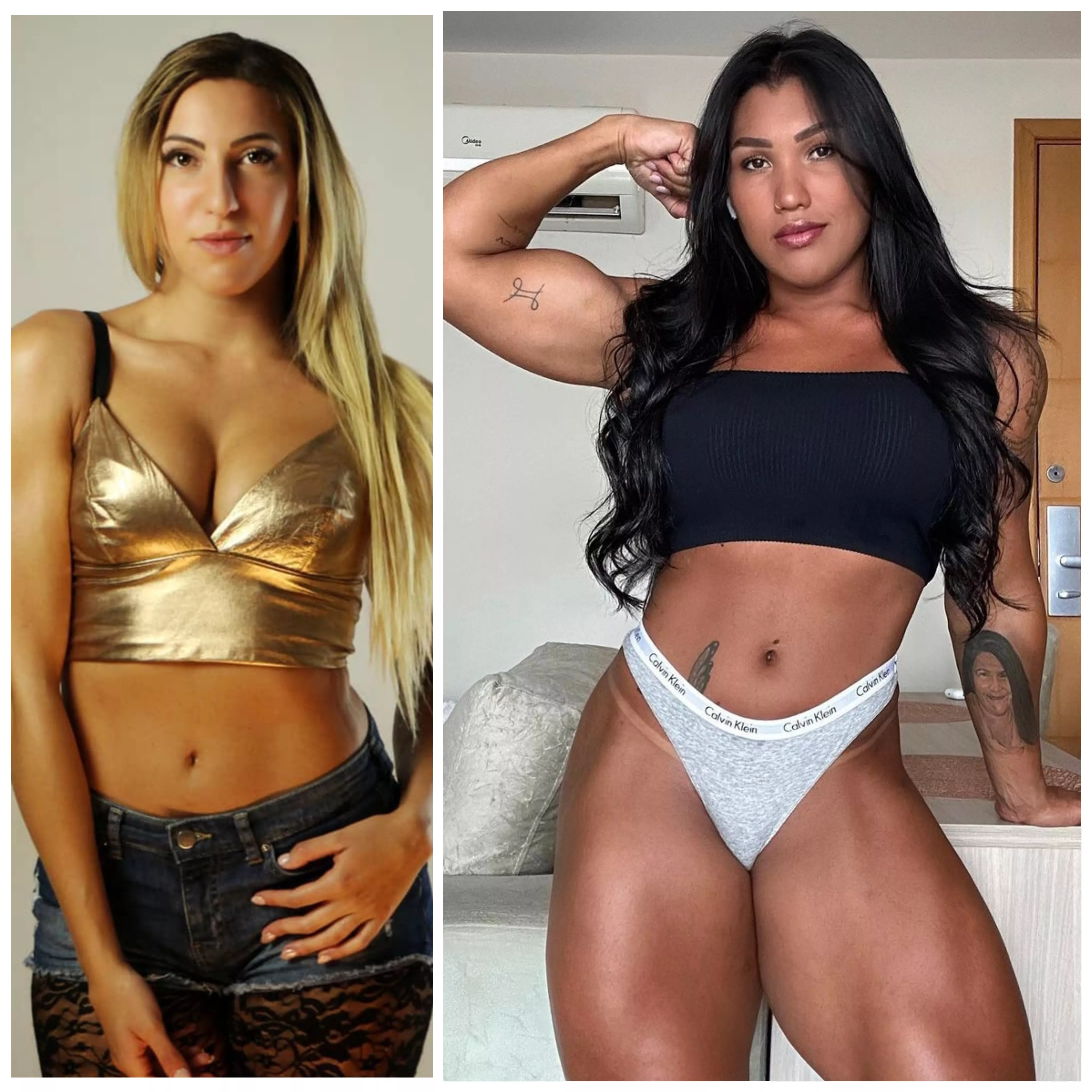 Wrestler vs bodybuilder, Who would win in a catfight and how? posted by Fit_Pin4644