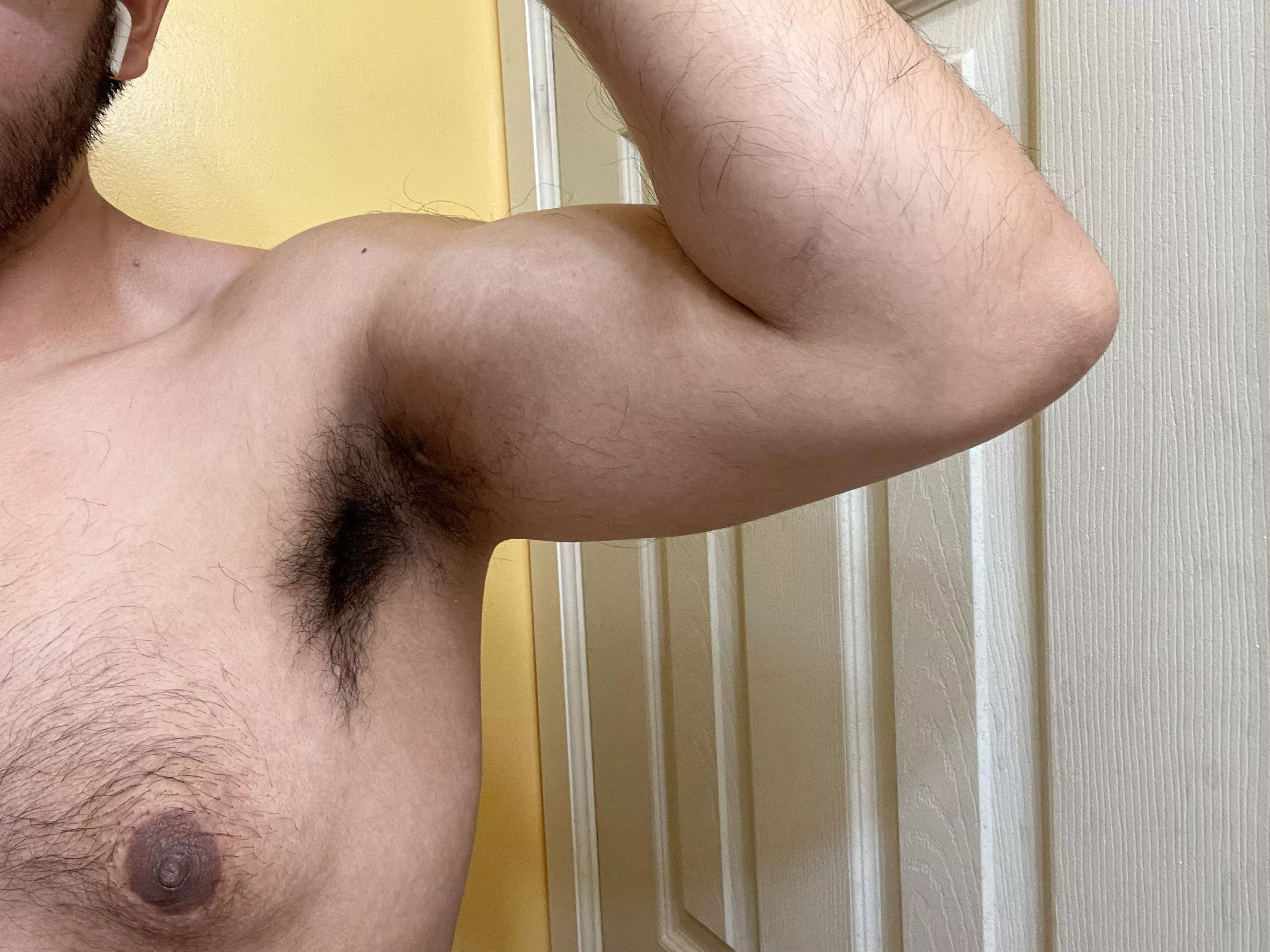 Come take a sniff posted by minitacobite