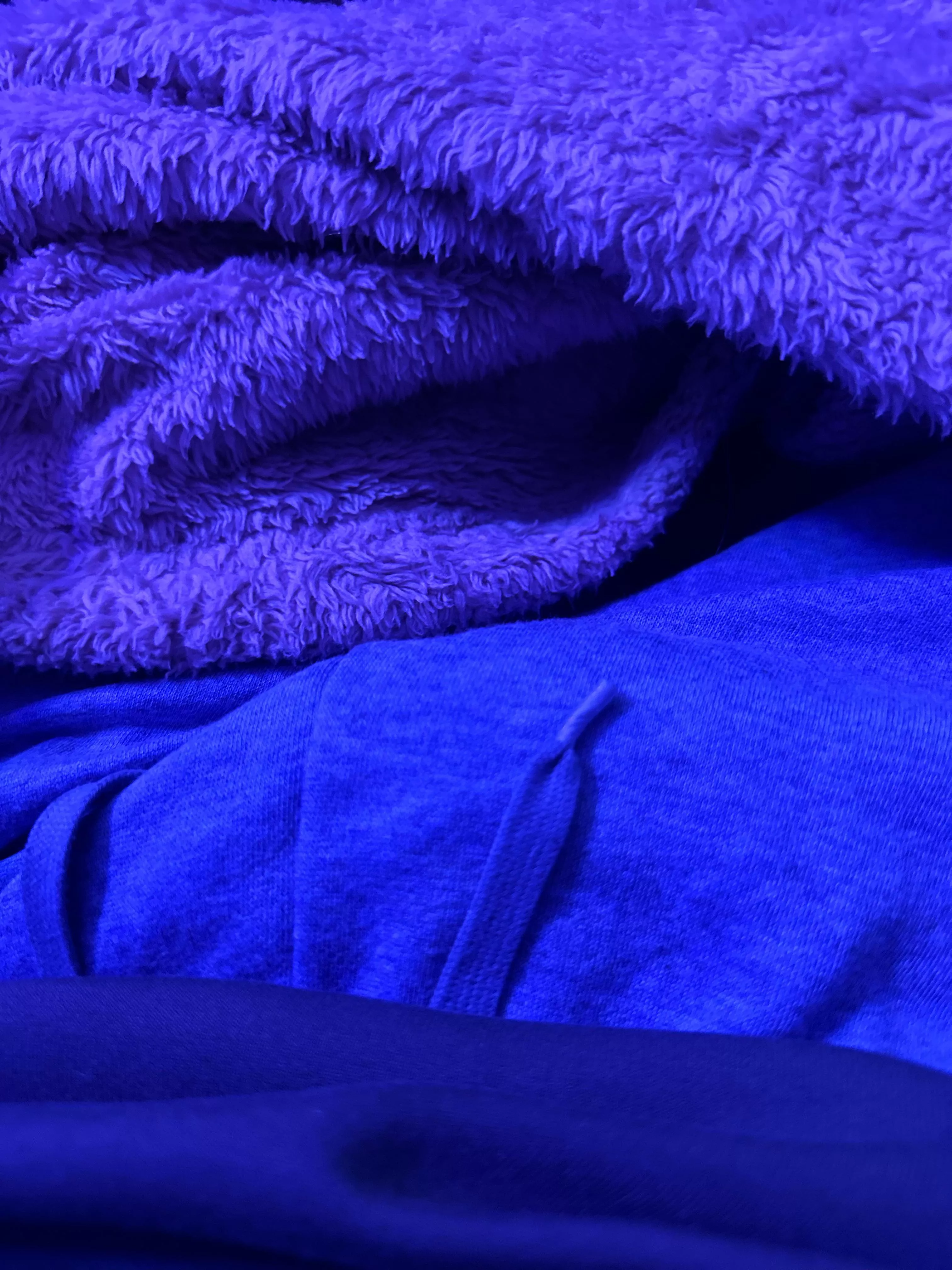 Comparing for bets!! You choose posted by bigschrimpy