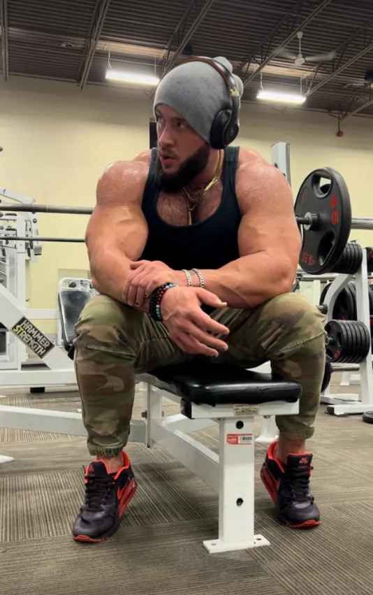 Daddy Bear posted by Damiantheone96