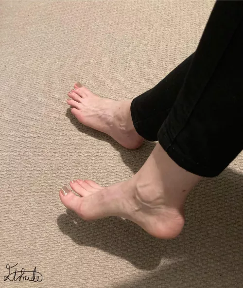 Early morning shadows by Elfrida77