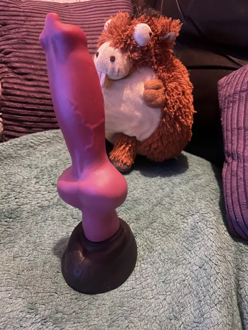 First time trying to take my Medium Rex Tonight😳 Tips? by Messy_Rider