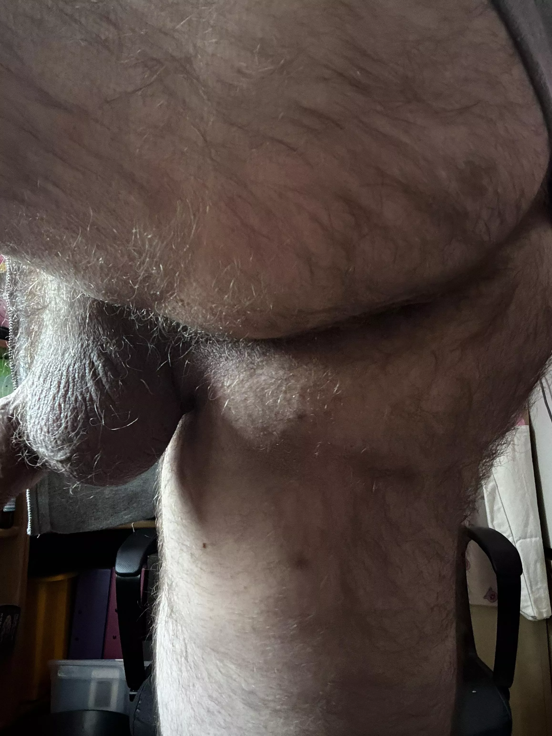 Hairy enough? posted by Ok-Election8104