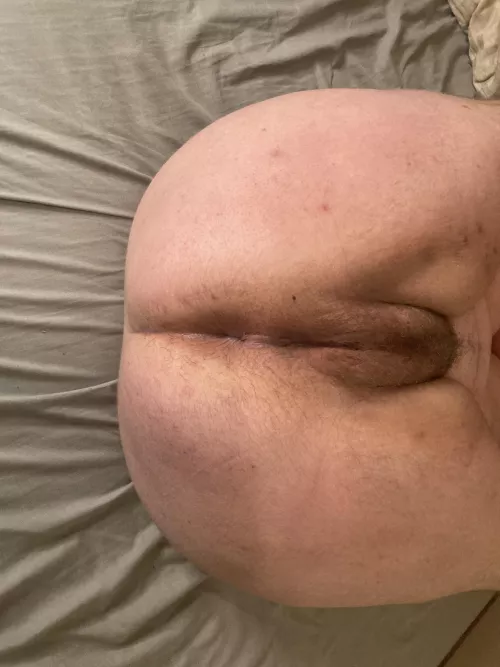 Hairy Holes and only getting [h]airier by joe_ftmxxx