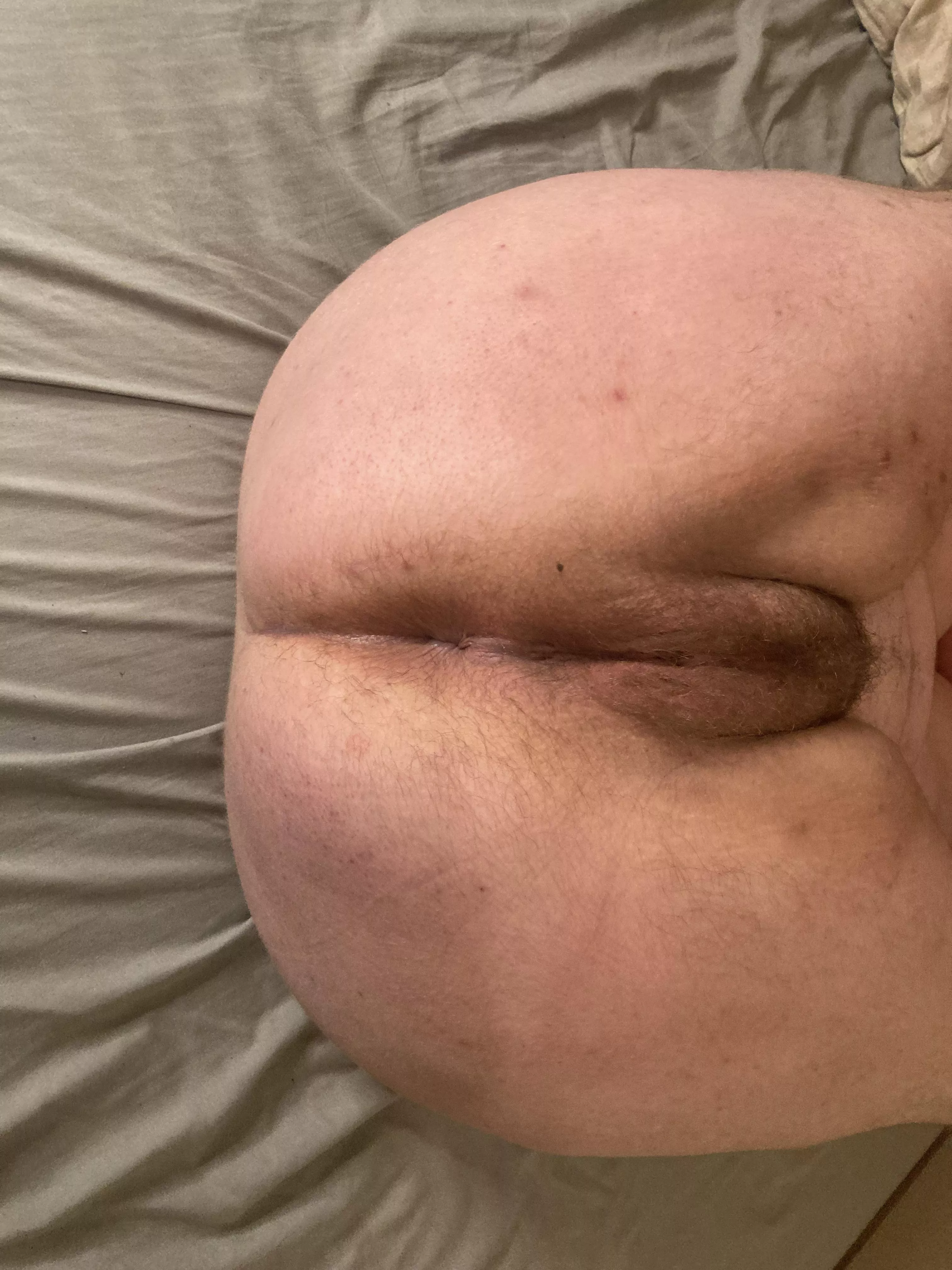 Hairy Holes and only getting [h]airier posted by joe_ftmxxx