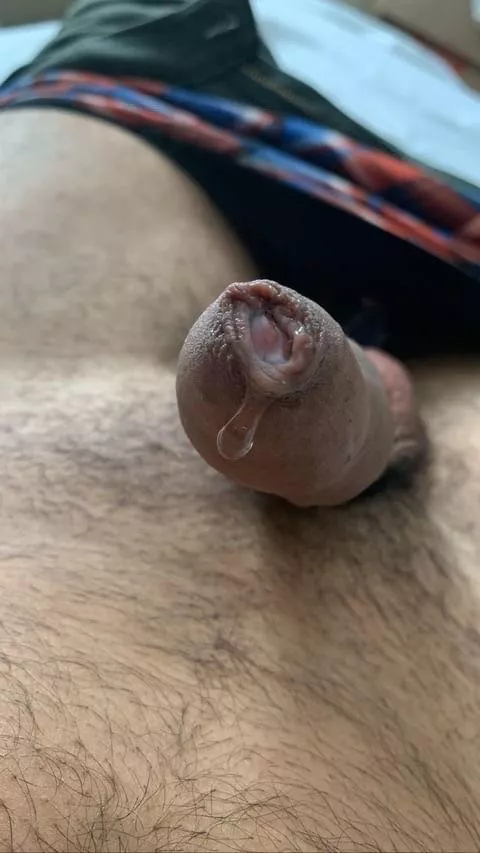 Help me posted by Sad-Scientist2243