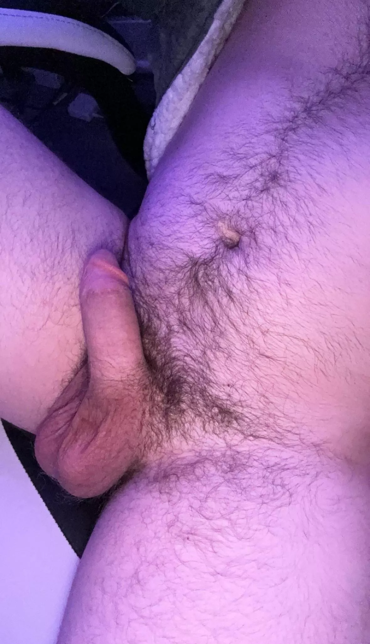 Hey 🐻 posted by Aaroncubster