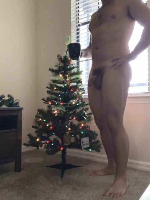 It’s Friday, going to have the tree lit for more than the evening. Happy holidays. by NatureGuy2